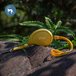 Mango Mini Retractable Rope Small Dog Pet Leash